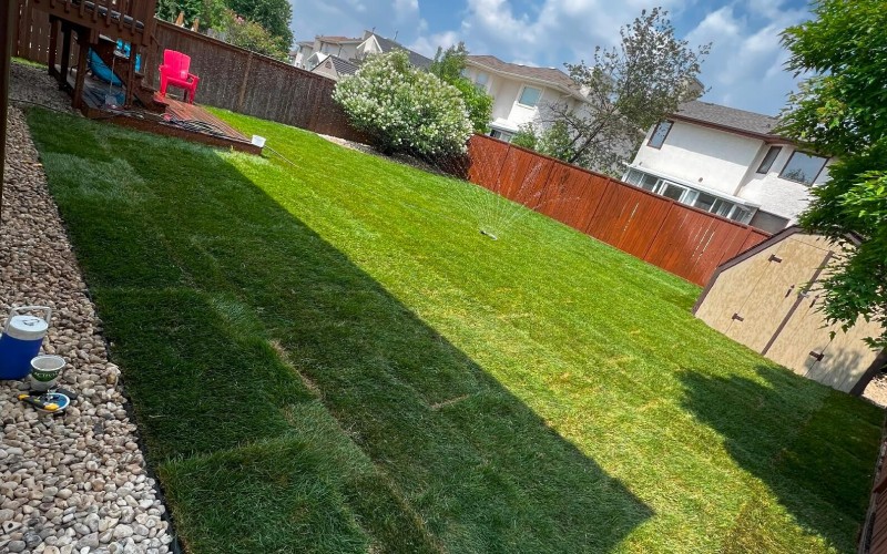 A well-maintained lawn