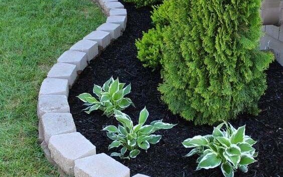 Garden Designing