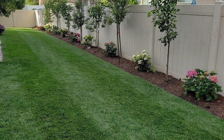 Lawn Care and Maintenance